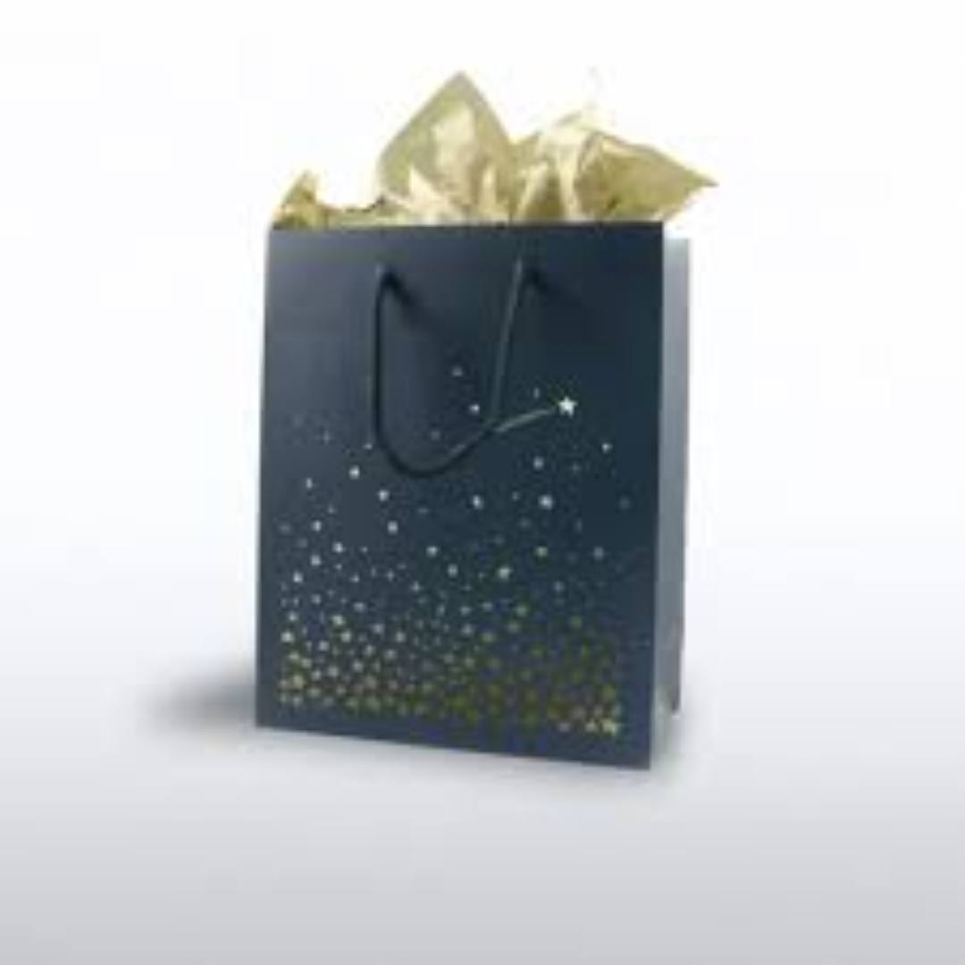 STORESOME GIFT BAG MEDIUM #2323M